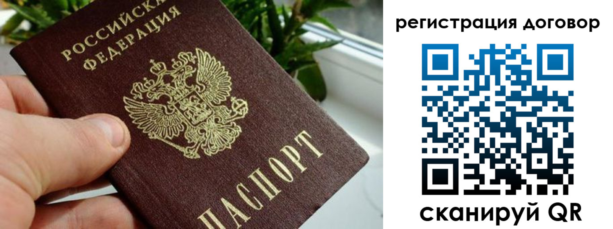 прописка ребенка в Невельске